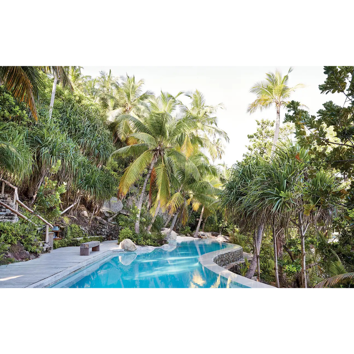 Pool surrounded by tropical trees and palm leaves south african indigenous