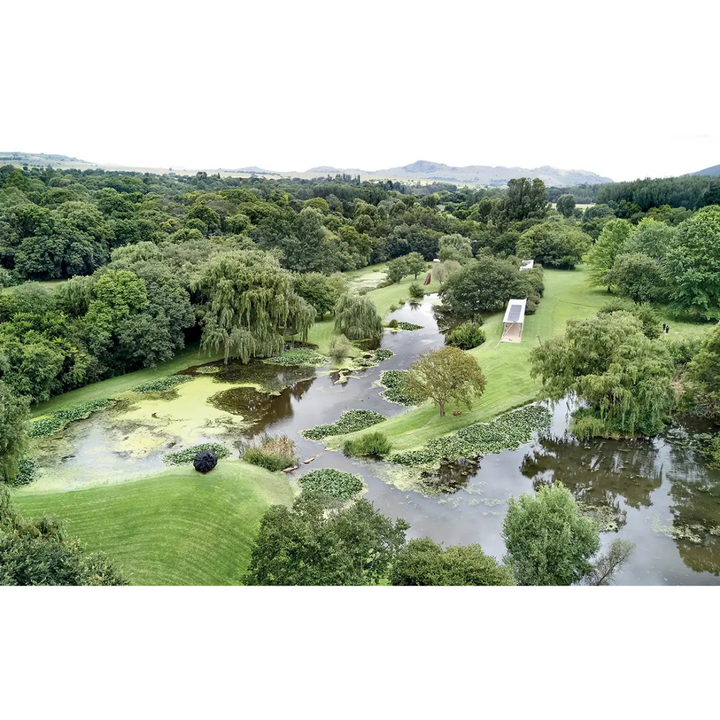 Lush green landscape with a pond and trees south african indigenous