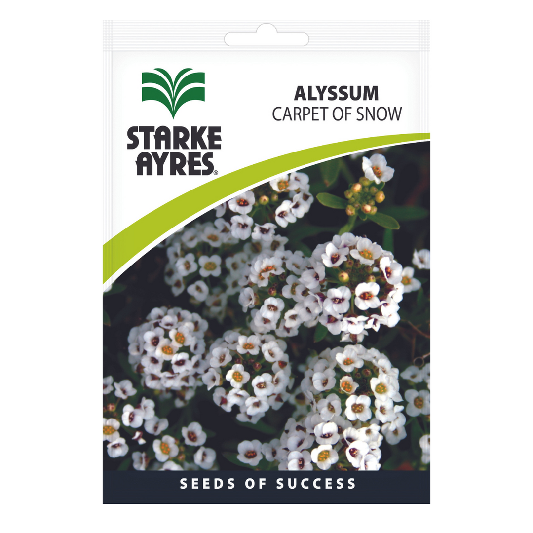 Seeds - Alyssum Carpet of Snow - Shop Online!