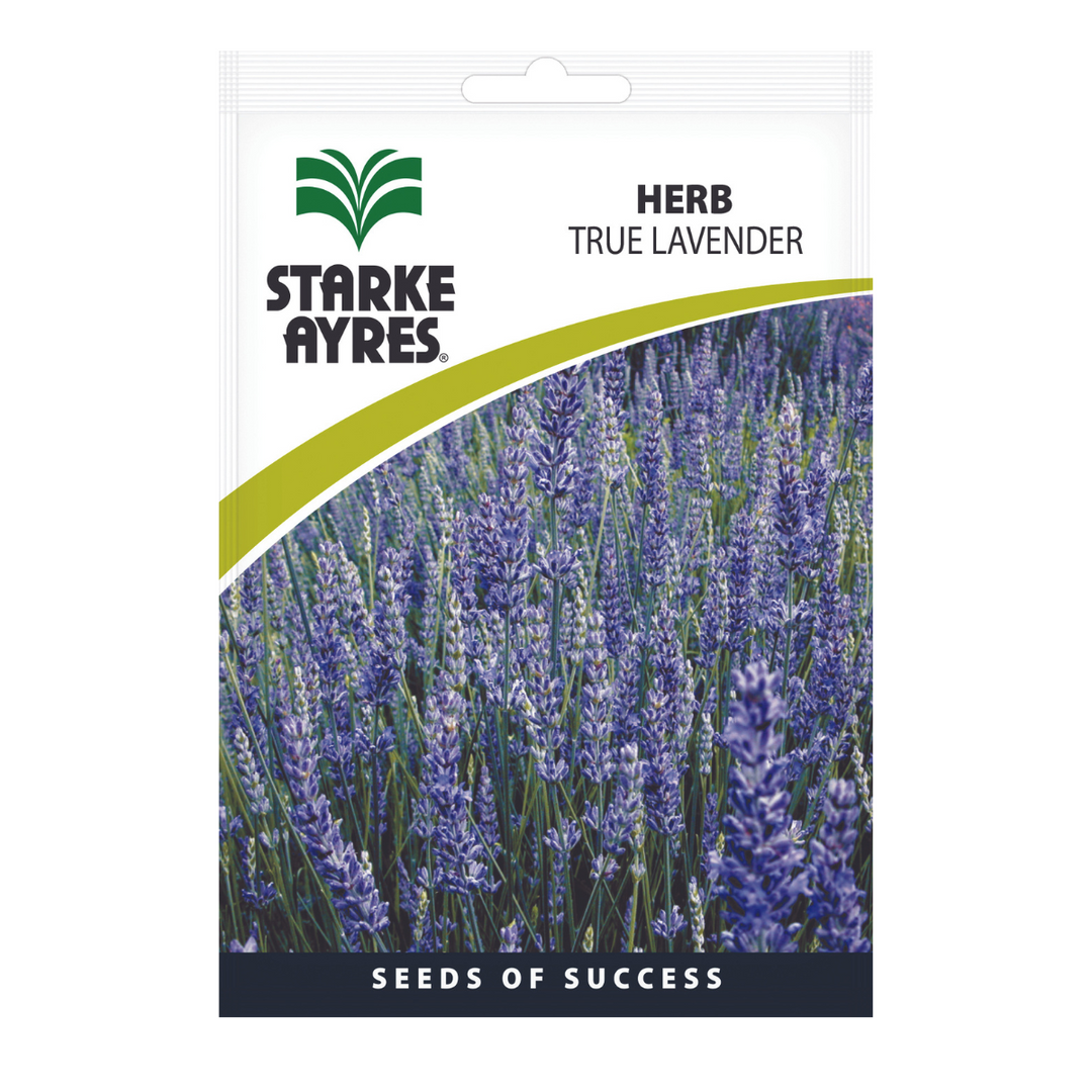 Seeds - True Lavender - Shop Online!