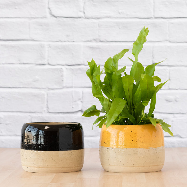 Caxi Planter - Yellow - Shop Online!