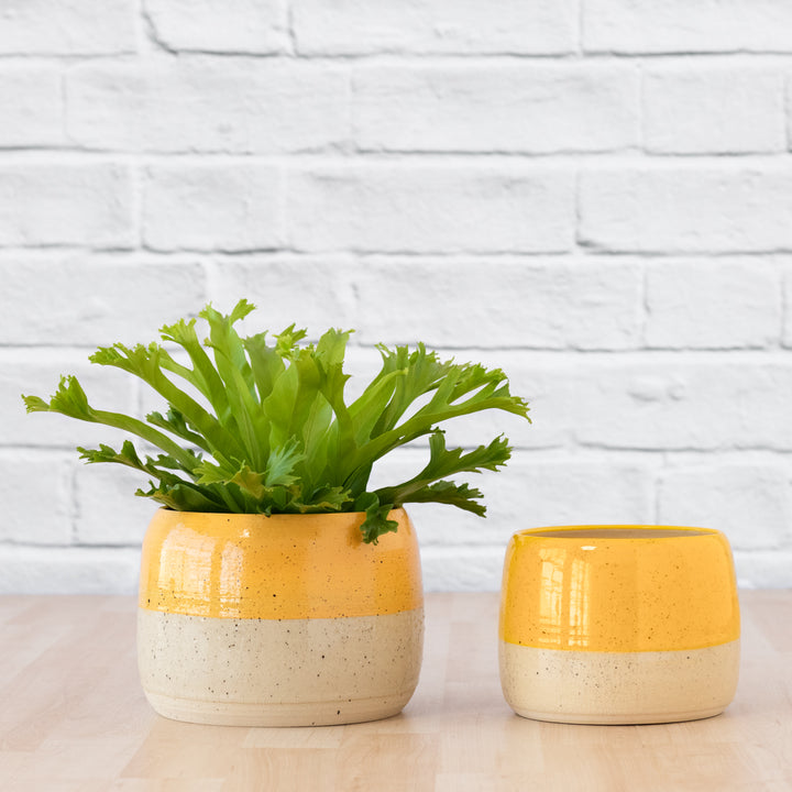 Caxi Planter - Yellow - Shop Online!