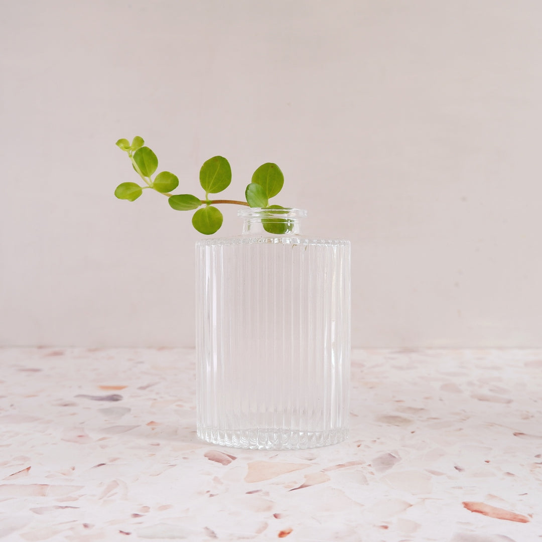 Glass Vase - Oval Ribbed - Shop Online!