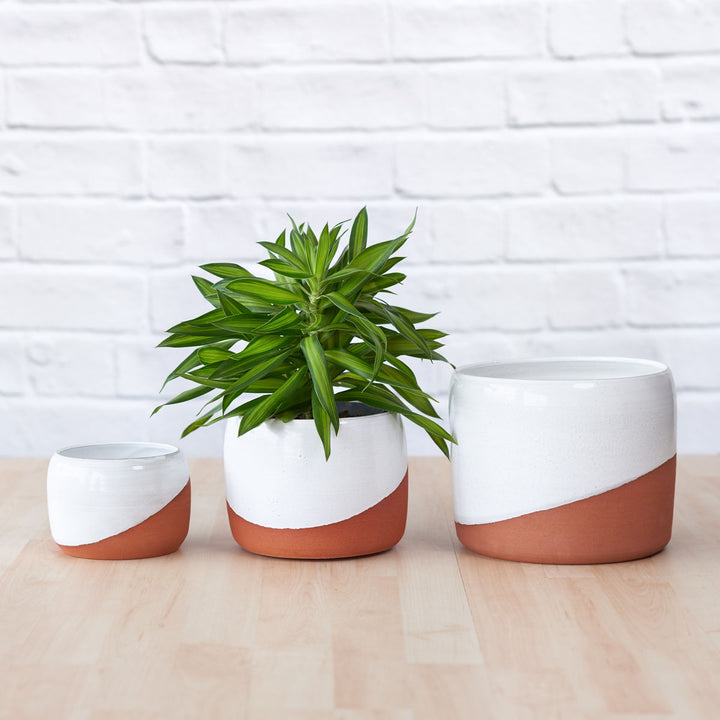 Daxi Planter - Terracotta - Shop Online!