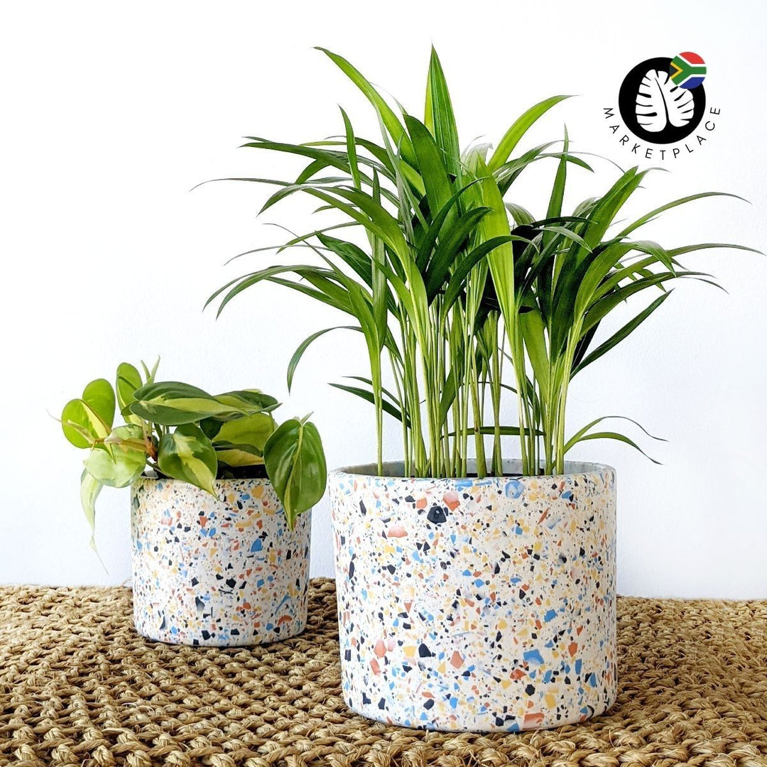Terrazzo Pot - Dune - Shop Online!