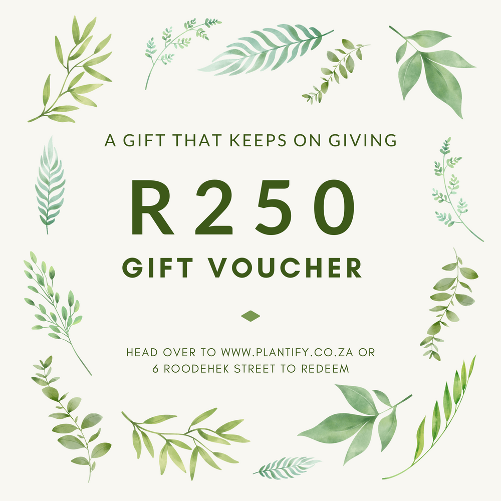 Plantify Gift Voucher - Shop Online!