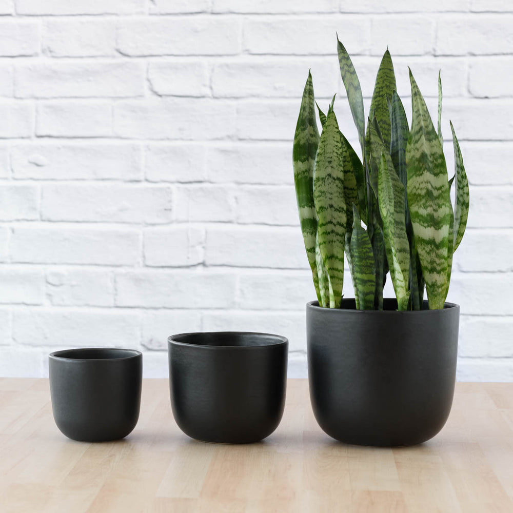Moon Planter - Black in a row showing sizing variety, largest with plant in for scale