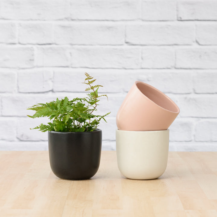 Moon Planter - Millennial Pink - Shop Online!