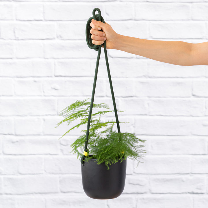 Moon Hanging Planter - Black - Shop Online!