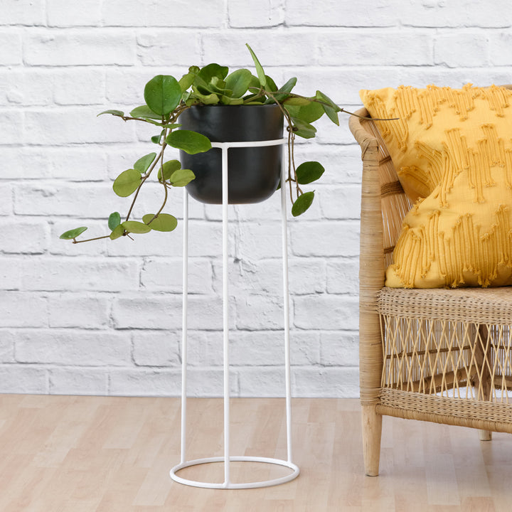 Orion Plant Stand - White - Shop Online!