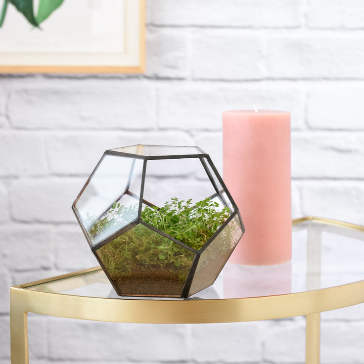 Terrarium - Geometric - Shop Online!