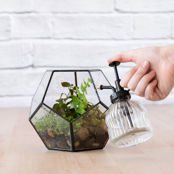 Terrarium - Geometric - Shop Online!