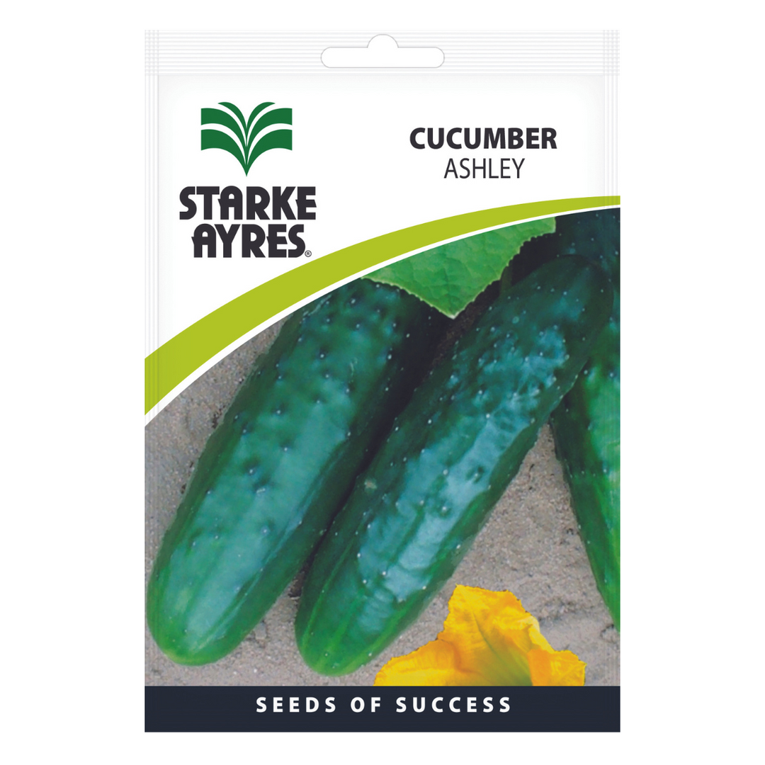 Seeds - Cucumber - Shop Online!