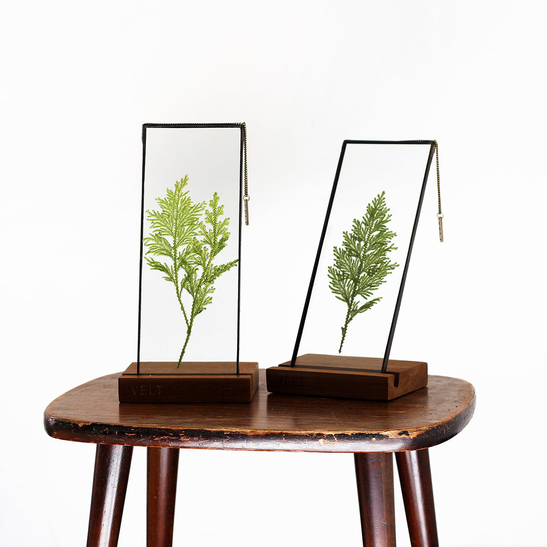 VELT Botanical Frame - Ferns - Shop Online!
